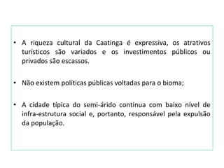 • A riqueza cultural da Caatinga é expressiva, os atrativos
turísticos são variados e os investimentos públicos ou
privados são escassos.
• Não existem políticas públicas voltadas para o bioma;
• A cidade típica do semi-árido continua com baixo nível de
infra-estrutura social e, portanto, responsável pela expulsão
da população.
 