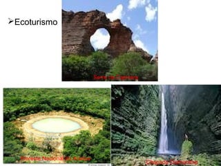 Ecoturismo
Chapada Diamantina
Serra da Capivara
Floresta Nacional do Araripe
 