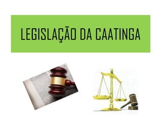 LEGISLAÇÃO DA CAATINGA
 