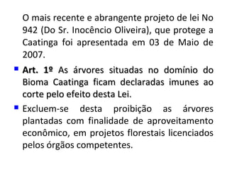 O mais recente e abrangente projeto de lei No
942 (Do Sr. Inocêncio Oliveira), que protege a
Caatinga foi apresentada em 03 de Maio de
2007.
 Art. 1ºArt. 1º As árvores situadas no domínio doAs árvores situadas no domínio do
Bioma Caatinga ficam declaradas imunes aoBioma Caatinga ficam declaradas imunes ao
corte pelo efeito desta Lei.corte pelo efeito desta Lei.
 Excluem-se desta proibição as árvores
plantadas com finalidade de aproveitamento
econômico, em projetos florestais licenciados
pelos órgãos competentes.
 