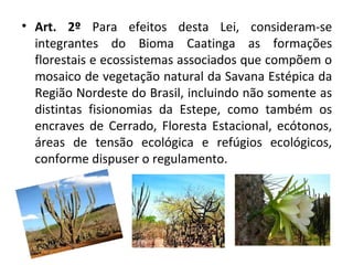 • Art. 2º Para efeitos desta Lei, consideram-se
integrantes do Bioma Caatinga as formações
florestais e ecossistemas associados que compõem o
mosaico de vegetação natural da Savana Estépica da
Região Nordeste do Brasil, incluindo não somente as
distintas fisionomias da Estepe, como também os
encraves de Cerrado, Floresta Estacional, ecótonos,
áreas de tensão ecológica e refúgios ecológicos,
conforme dispuser o regulamento.
 