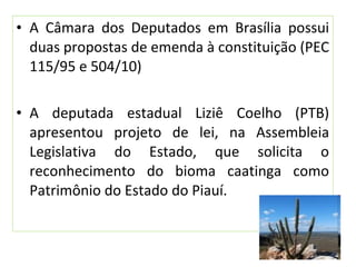 • A Câmara dos Deputados em Brasília possui
duas propostas de emenda à constituição (PEC
115/95 e 504/10)
• A deputada estadual Liziê Coelho (PTB)
apresentou projeto de lei, na Assembleia
Legislativa do Estado, que solicita o
reconhecimento do bioma caatinga como
Patrimônio do Estado do Piauí.
 