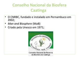 Conselho Nacional da Biosfera
Caatinga
• O CNRBC, fundado e instalado em Pernambuco em
2002;
• Man and Biosphere (MaB)
• Criado pela Unesco em 1971;
 