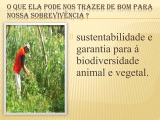  sustentabilidade e
garantia para á
biodiversidade
animal e vegetal.
 