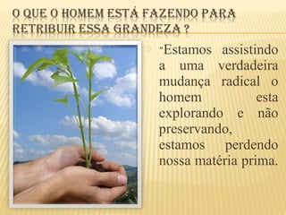  “Estamos assistindo
a uma verdadeira
mudança radical o
homem esta
explorando e não
preservando,
estamos perdendo
nossa matéria prima.
 