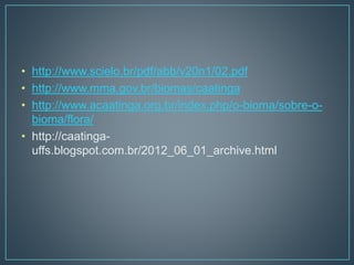 • http://www.scielo.br/pdf/abb/v20n1/02.pdf
• http://www.mma.gov.br/biomas/caatinga
• http://www.acaatinga.org.br/index.php/o-bioma/sobre-o-
bioma/flora/
• http://caatinga-
uffs.blogspot.com.br/2012_06_01_archive.html
 