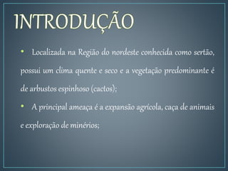 • Localizada na Região do nordeste conhecida como sertão,
possui um clima quente e seco e a vegetação predominante é
de arbustos espinhoso (cactos);
• A principal ameaça é a expansão agrícola, caça de animais
e exploração de minérios;
 