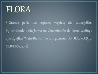 • Grande parte das espécies vegetais são caducifólias,
influenciando desta forma na denominação do termo caatinga
que significa “Mata-Branca” no tupi guarani (LOIOLA; ROQUE;
OLIVEIRA, 2012).
 
