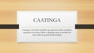 CAATINGA
Caatinga é um bioma brasileiro que apresenta clima semiárido,
vegetação com pouca folhas e adaptadas para os períodos de
secas, além de grande biodiversidade.
 