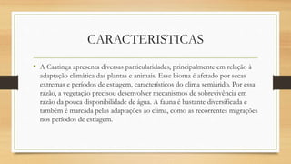 CARACTERISTICAS
• A Caatinga apresenta diversas particularidades, principalmente em relação à
adaptação climática das plantas e animais. Esse bioma é afetado por secas
extremas e períodos de estiagem, característicos do clima semiárido. Por essa
razão, a vegetação precisou desenvolver mecanismos de sobrevivência em
razão da pouca disponibilidade de água. A fauna é bastante diversificada e
também é marcada pelas adaptações ao clima, como as recorrentes migrações
nos períodos de estiagem.
 