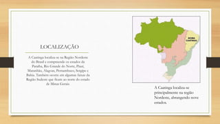 LOCALIZAÇÃO
A Caatinga localiza-se na Região Nordeste
do Brasil e compreende os estados da
Paraíba, Rio Grande do Norte, Piauí,
Maranhão, Alagoas, Pernambuco, Sergipe e
Bahia. Também ocorre em algumas faixas da
Região Sudeste que ficam ao norte do estado
de Minas Gerais.
A Caatinga localiza-se
principalmente na região
Nordeste, abrangendo nove
estados.
 