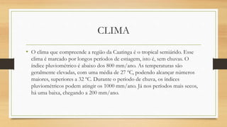 CLIMA
• O clima que compreende a região da Caatinga é o tropical semiárido. Esse
clima é marcado por longos períodos de estiagem, isto é, sem chuvas. O
índice pluviométrico é abaixo dos 800 mm/ano. As temperaturas são
geralmente elevadas, com uma média de 27 ºC, podendo alcançar números
maiores, superiores a 32 ºC. Durante o período de chuva, os índices
pluviométricos podem atingir os 1000 mm/ano. Já nos períodos mais secos,
há uma baixa, chegando a 200 mm/ano.
 