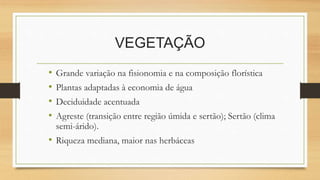 VEGETAÇÃO
• Grande variação na fisionomia e na composição florística
• Plantas adaptadas à economia de água
• Deciduidade acentuada
• Agreste (transição entre região úmida e sertão); Sertão (clima
semi-árido).
• Riqueza mediana, maior nas herbáceas
 