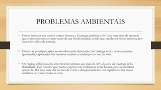 PROBLEMAS AMBIENTAIS
• Como acontece em muitos outros biomas, a Caatinga também sofre com uma série de ameaças
que comprometem a conservação da sua biodiversidade, sendo que um desses riscos acontece por
causa do tráfico de animais.
• Dentre as principais ações responsáveis pela destruição da Caatinga estão: desmatamento,
queimadas, exploração dos recursos naturais e mudanças no uso do solo.
• Os órgãos ambientais do setor federal estimam que mais de 46% da área da Caatinga já foi
desmatada. Vale ressaltar que muitas espécies são endêmicas desse bioma, ou seja, ocorrem
apenas lá. Por isso, uma das formas de evitar o desaparecimento das espécies é criar novas
unidades de conservação na área.
 