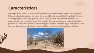 Caatinga bioma brasileiro semi arido.pptx