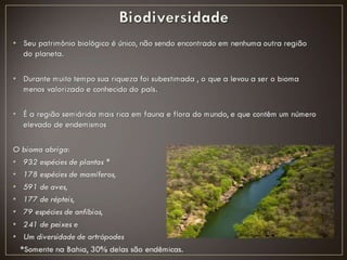 Bioma Caatinga