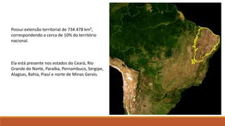 Possui extensão territorial de 734.478 km²,
correspondendo a cerca de 10% do território
nacional.
Ela está presente nos estados do Ceará, Rio
Grande do Norte, Paraíba, Pernambuco, Sergipe,
Alagoas, Bahia, Piauí e norte de Minas Gerais.
 