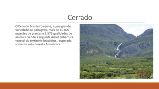 Cerrado
O Cerrado brasileiro reúne, numa grande
variedade de paisagens, mais de 10.000
espécies de plantas e 1.575 qualidades de
animais. Sendo a segunda maior cobertura
vegetal do território brasileiro, , superada
somente pela floresta Amazônica.
 