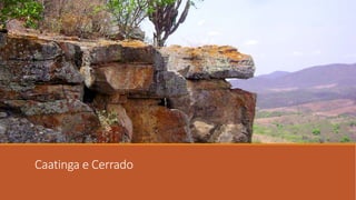 Caatinga e Cerrado
 