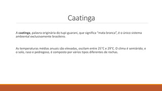 Caatinga
A caatinga, palavra originária do tupi-guarani, que significa “mata branca”, é o único sistema
ambiental exclusivamente brasileiro.
As temperaturas médias anuais são elevadas, oscilam entre 25°C e 29°C. O clima é semiárido; e
o solo, raso e pedregoso, é composto por vários tipos diferentes de rochas.
 