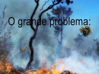 CAATINGA E MATA ATLÂNTICA