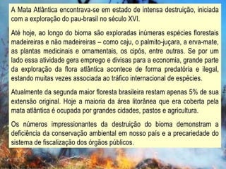 CAATINGA E MATA ATLÂNTICA