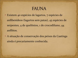 Existem 40 espécies de lagartos, 7 espécies de anfibenídeos (lagartos sem patas), 45 espécies de serpentes, 4 de quelônios, 1 de crocodiliano, 44 anfíbios. A situação de conservação dos peixes da Caatinga ainda é precariamente conhecida. 