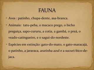 Aves : patinho, chupa-dente, asa-branca. Animais:  tatu-peba, o macaco prego, o bicho preguiça, sapo-cururu, a cotia, a gambá, o preá, o veado-catingueiro, e o sagui-do-nordeste. Espécies em extinção: gato-do-mato, o gato-maracajá, o patinho, a jararaca, ararinha azul e a sucuri-bico-de-jaca. 