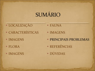 LOCALIZAÇÃO CARACTERÍSTICAS IMAGENS FLORA IMAGENS FAUNA IMAGENS PRINCIPAIS PROBLEMAS REFERÊNCIAS DÚVIDAS 