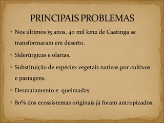 Nos últimos 15 anos, 40 mil km2 de Caatinga se transformaram em deserto. Siderúrgicas e olarias. Substituição de espécies vegetais nativas por cultivos e pastagens. Desmatamento e  queimadas. 80% dos ecossistemas originais já foram antropizados. 