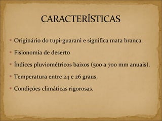 Originário do tupi-guarani e significa mata branca. Fisionomia de deserto Índices pluviométricos baixos (500 a 700 mm anuais). Temperatura entre 24 e 26 graus. Condições climáticas rigorosas. 