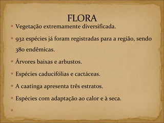Vegetação extremamente diversificada. 932 espécies já foram registradas para a região, sendo 380 endêmicas. Árvores baixas e arbustos. Espécies caducifólias e cactáceas. A caatinga apresenta três estratos. Espécies com adaptação ao calor e à seca. 