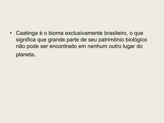 • Caatinga é o bioma exclusivamente brasileiro, o que
significa que grande parte de seu patrimônio biológico
não pode ser encontrado em nenhum outro lugar do
planeta.
 
