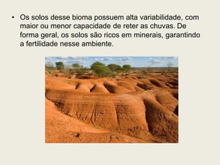 • Os solos desse bioma possuem alta variabilidade, com
maior ou menor capacidade de reter as chuvas. De
forma geral, os solos são ricos em minerais, garantindo
a fertilidade nesse ambiente.
 