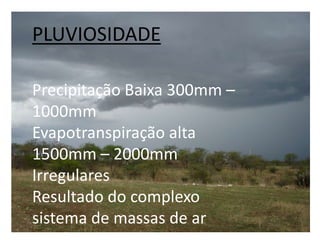 PLUVIOSIDADE
Precipitação Baixa 300mm –
1000mm
Evapotranspiração alta
1500mm – 2000mm
Irregulares
Resultado do complexo
sistema de massas de ar

 