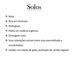 Solos
 Raso;
 Rico em minerais;
 Pedregoso;
 Pobre em matéria orgânica;
 Drenagem ruim;
 Suas colorações variam entre rosa-avermelhado e

acinzentados;
 Usados na criação de gado, produção de carvão vegetal;

 