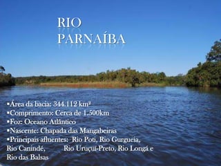 RIO
PARNAÍBA

Área da bacia: 344.112 km²
Comprimento: Cerca de 1.500km
Foz: Oceano Atlântico
Nascente: Chapada das Mangabeiras
Principais afluentes: Rio Poti, Rio Gurgueia,
Rio Canindé,
Rio Uruçuí-Preto, Rio Longá e
Rio das Balsas

 