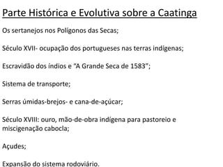 Parte Histórica e Evolutiva sobre a Caatinga
Os sertanejos nos Polígonos das Secas;
Século XVII- ocupação dos portugueses nas terras indígenas;
Escravidão dos índios e “A Grande Seca de 1583”;
Sistema de transporte;

Serras úmidas-brejos- e cana-de-açúcar;
Século XVIII: ouro, mão-de-obra indígena para pastoreio e
miscigenação cabocla;
Açudes;
Expansão do sistema rodoviário.

 