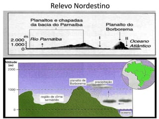 Relevo Nordestino

 