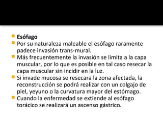  Esófago
 Por su naturaleza maleable el esófago raramente
  padece invasión trans-mural.
 Más frecuentemente la invasión se limita a la capa
  muscular, por lo que es posible en tal caso resecar la
  capa muscular sin incidir en la luz.
 Si invade mucosa se resecara la zona afectada, la
  reconstrucción se podrá realizar con un colgajo de
  piel, yeyuno o la curvatura mayor del estómago.
 Cuando la enfermedad se extiende al esófago
  torácico se realizará un ascenso gástrico.
 
