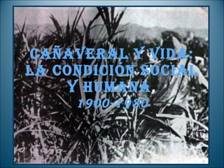 Cañaveral y vida: la condición social y humana , 1900-1930 