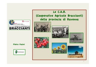 Le C.A.B.
(Cooperative Agricole Braccianti)
della provincia di Ravenna
Pietro Pasini
1	
  
 