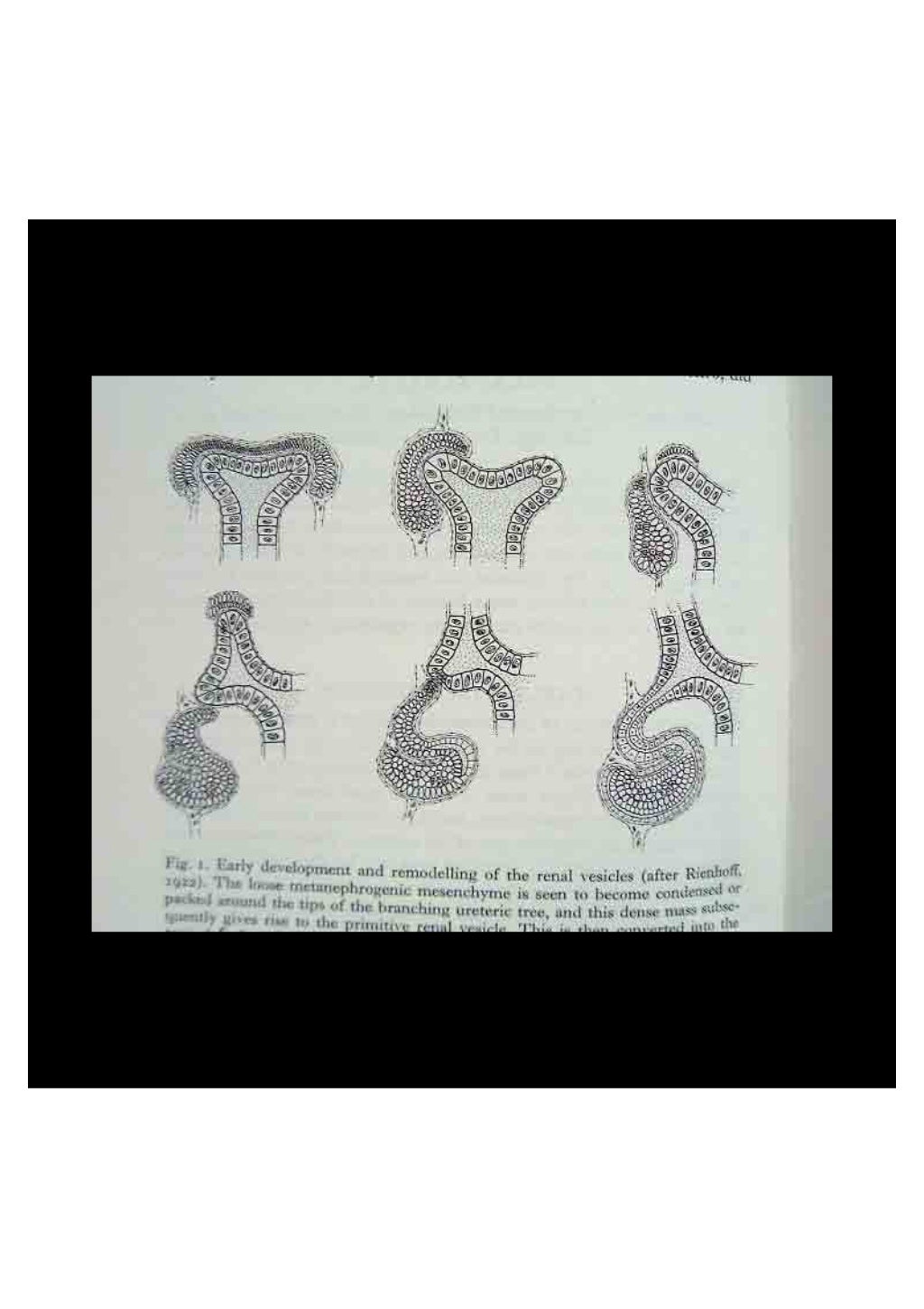 Semantics / Style TU Delft Architecture Faculty Lecture