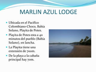 MARLIN AZUL LODGE Ubicada en el Pacifico Colombiano-Choco, Bahía Solano, Playita de Potes. Playita de Potes esta a 40 minutos del pueblo (Bahía Solano), en lancha. La Playita tiene una extensión de 700m. De la playa a la cabaña principal hay 70m. 