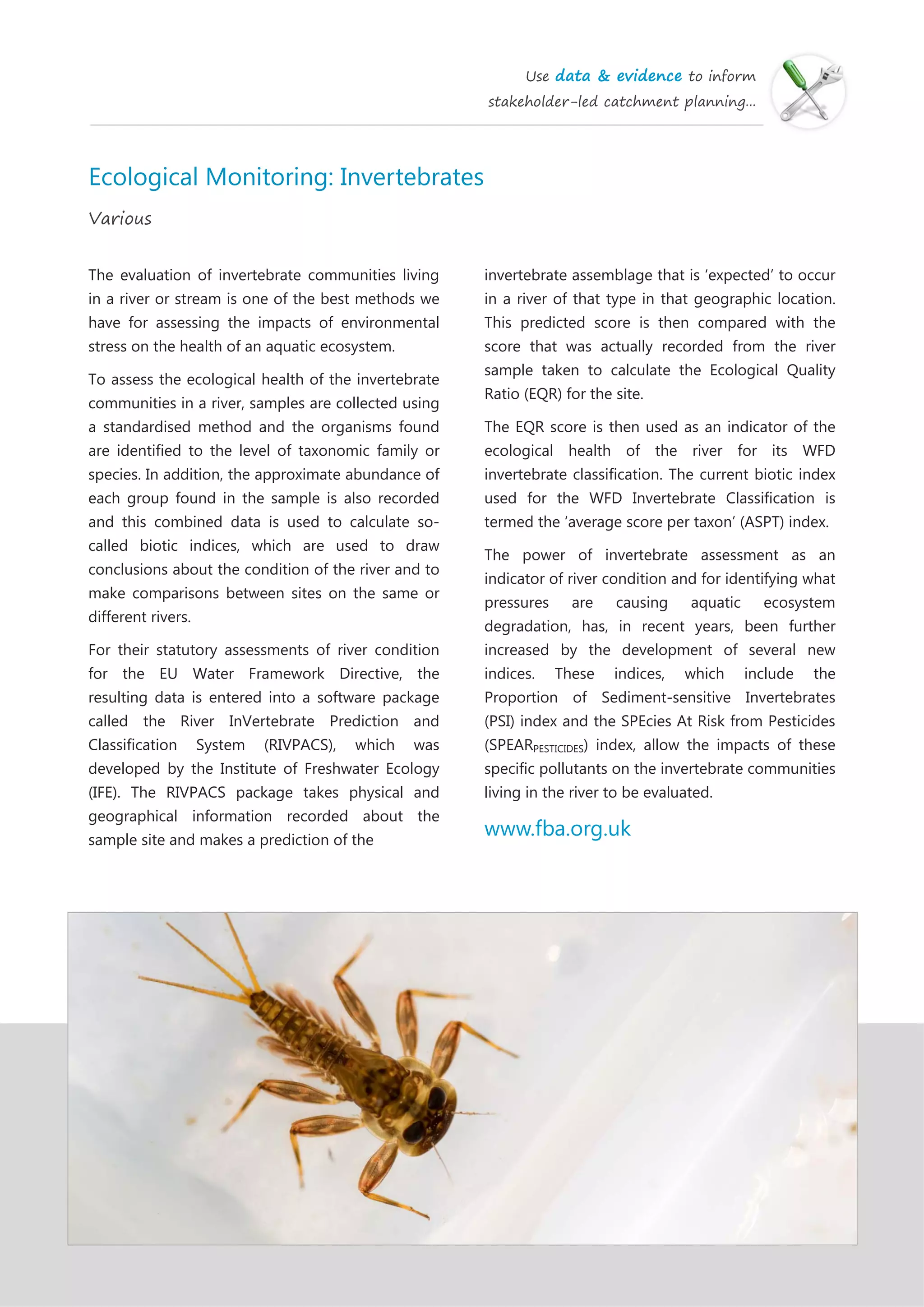 Use data & evidence to inform
stakeholder-led catchment planning...
Ecological Monitoring: Invertebrates
Various
The evaluation of invertebrate communities living
in a river or stream is one of the best methods we
have for assessing the impacts of environmental
stress on the health of an aquatic ecosystem.
To assess the ecological health of the invertebrate
communities in a river, samples are collected using
a standardised method and the organisms found
are identified to the level of taxonomic family or
species. In addition, the approximate abundance of
each group found in the sample is also recorded
and this combined data is used to calculate so-
called biotic indices, which are used to draw
conclusions about the condition of the river and to
make comparisons between sites on the same or
different rivers.
For their statutory assessments of river condition
for the EU Water Framework Directive, the
resulting data is entered into a software package
called the River InVertebrate Prediction and
Classification System (RIVPACS), which was
developed by the Institute of Freshwater Ecology
(IFE). The RIVPACS package takes physical and
geographical information recorded about the
sample site and makes a prediction of the
invertebrate assemblage that is ‘expected’ to occur
in a river of that type in that geographic location.
This predicted score is then compared with the
score that was actually recorded from the river
sample taken to calculate the Ecological Quality
Ratio (EQR) for the site.
The EQR score is then used as an indicator of the
ecological health of the river for its WFD
invertebrate classification. The current biotic index
used for the WFD Invertebrate Classification is
termed the ‘average score per taxon’ (ASPT) index.
The power of invertebrate assessment as an
indicator of river condition and for identifying what
pressures are causing aquatic ecosystem
degradation, has, in recent years, been further
increased by the development of several new
indices. These indices, which include the
Proportion of Sediment-sensitive Invertebrates
(PSI) index and the SPEcies At Risk from Pesticides
(SPEARPESTICIDES) index, allow the impacts of these
specific pollutants on the invertebrate communities
living in the river to be evaluated.
www.fba.org.uk
 