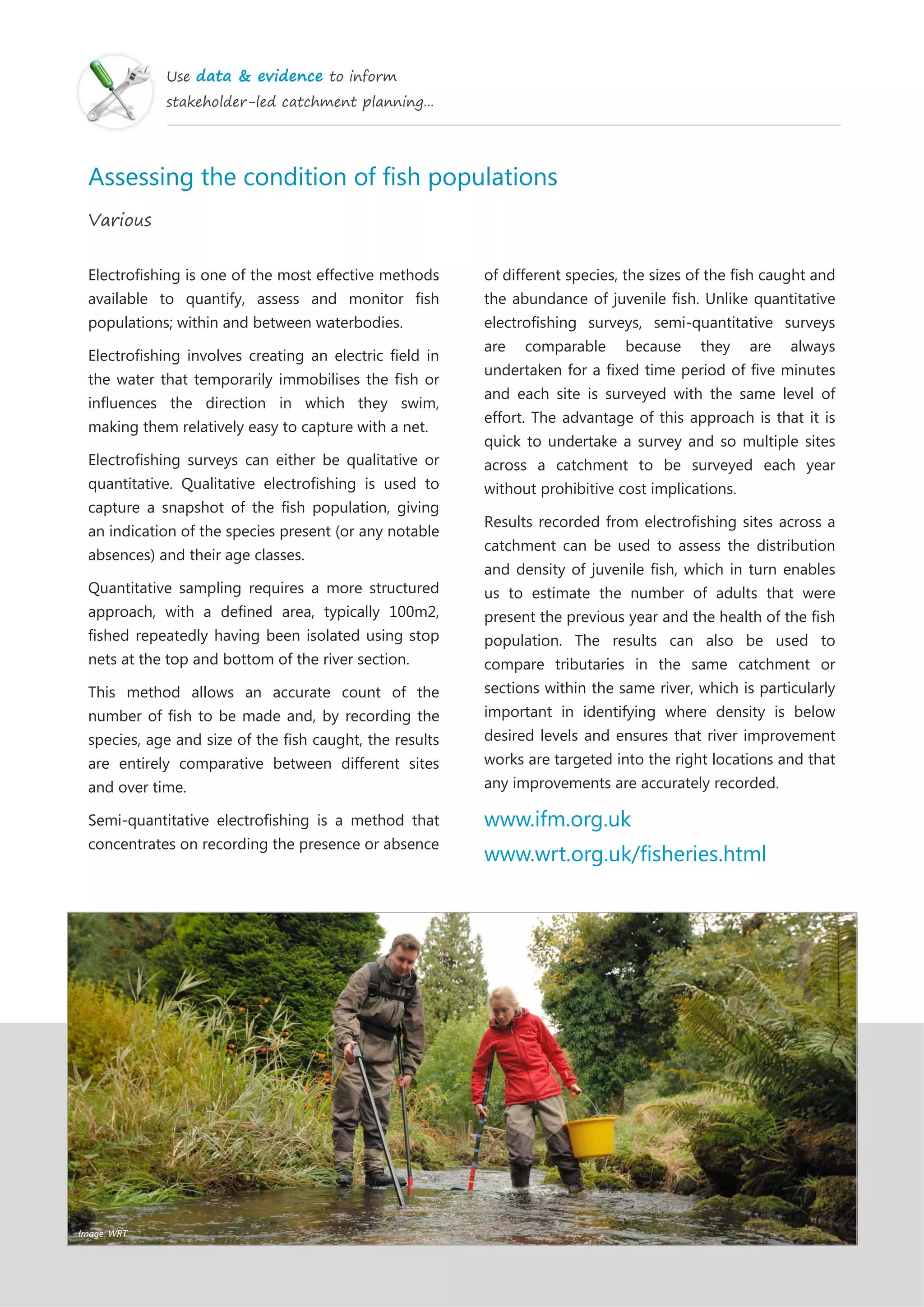 Use data & evidence to inform
stakeholder-led catchment planning...
Assessing the condition of fish populations
Various
Electrofishing is one of the most effective methods
available to quantify, assess and monitor fish
populations; within and between waterbodies.
Electrofishing involves creating an electric field in
the water that temporarily immobilises the fish or
influences the direction in which they swim,
making them relatively easy to capture with a net.
Electrofishing surveys can either be qualitative or
quantitative. Qualitative electrofishing is used to
capture a snapshot of the fish population, giving
an indication of the species present (or any notable
absences) and their age classes.
Quantitative sampling requires a more structured
approach, with a defined area, typically 100m2,
fished repeatedly having been isolated using stop
nets at the top and bottom of the river section.
This method allows an accurate count of the
number of fish to be made and, by recording the
species, age and size of the fish caught, the results
are entirely comparative between different sites
and over time.
Semi-quantitative electrofishing is a method that
concentrates on recording the presence or absence
of different species, the sizes of the fish caught and
the abundance of juvenile fish. Unlike quantitative
electrofishing surveys, semi-quantitative surveys
are comparable because they are always
undertaken for a fixed time period of five minutes
and each site is surveyed with the same level of
effort. The advantage of this approach is that it is
quick to undertake a survey and so multiple sites
across a catchment to be surveyed each year
without prohibitive cost implications.
Results recorded from electrofishing sites across a
catchment can be used to assess the distribution
and density of juvenile fish, which in turn enables
us to estimate the number of adults that were
present the previous year and the health of the fish
population. The results can also be used to
compare tributaries in the same catchment or
sections within the same river, which is particularly
important in identifying where density is below
desired levels and ensures that river improvement
works are targeted into the right locations and that
any improvements are accurately recorded.
www.ifm.org.uk
www.wrt.org.uk/fisheries.html
Image: WRT
 