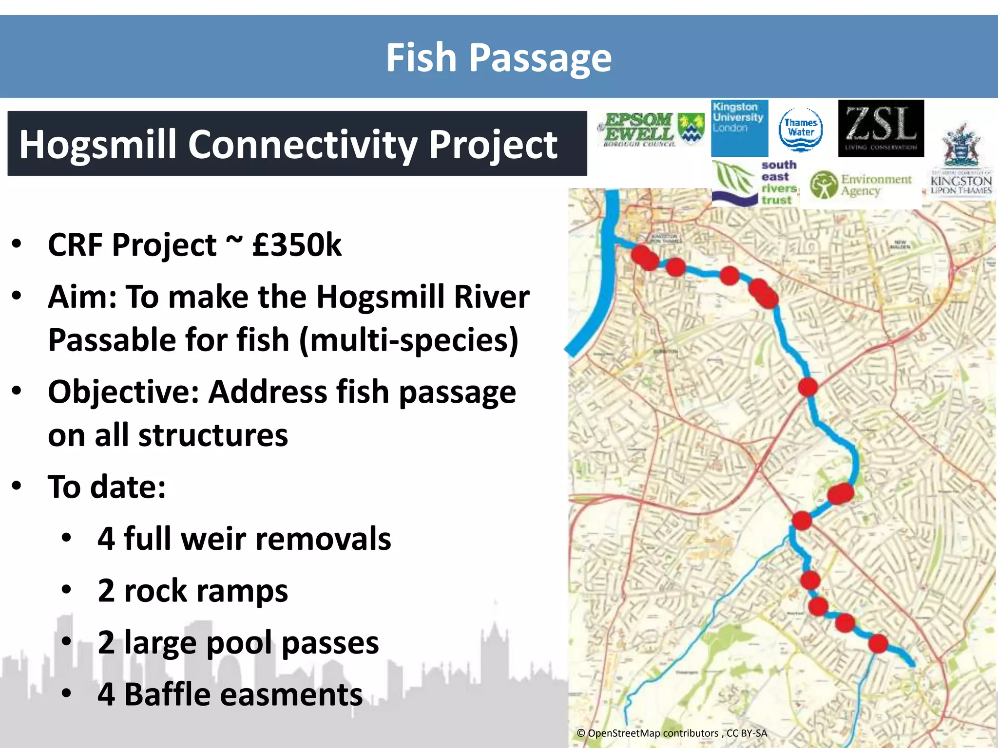 Fish Passage
Hogsmill Connectivity Project
• CRF Project ~ £350k
• Aim: To make the Hogsmill River
Passable for fish (multi-species)
• Objective: Address fish passage
on all structures
• To date:
• 4 full weir removals
• 2 rock ramps
• 2 large pool passes
• 4 Baffle easments
© OpenStreetMap contributors , CC BY-SA
 