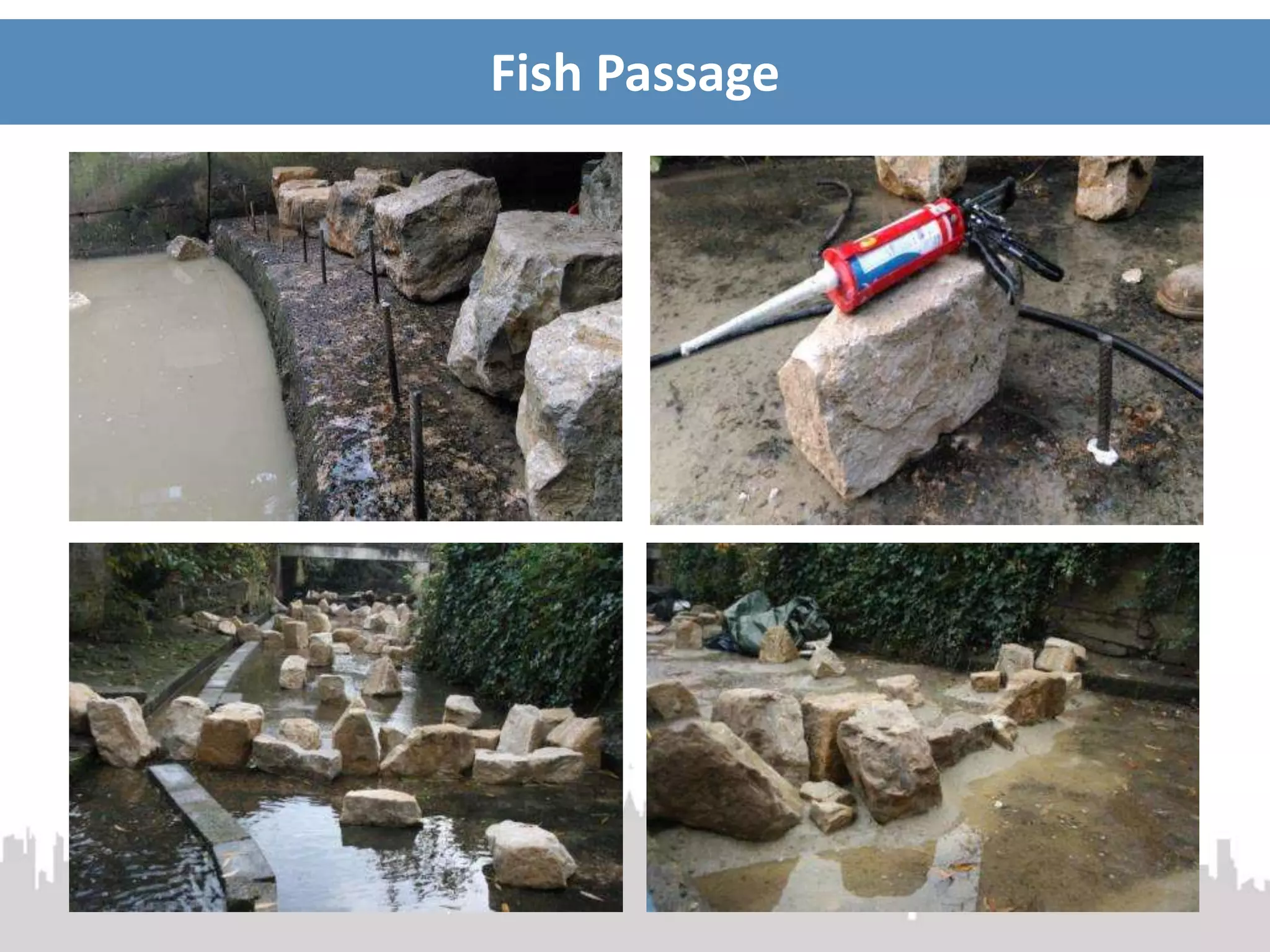 Fish Passage
 