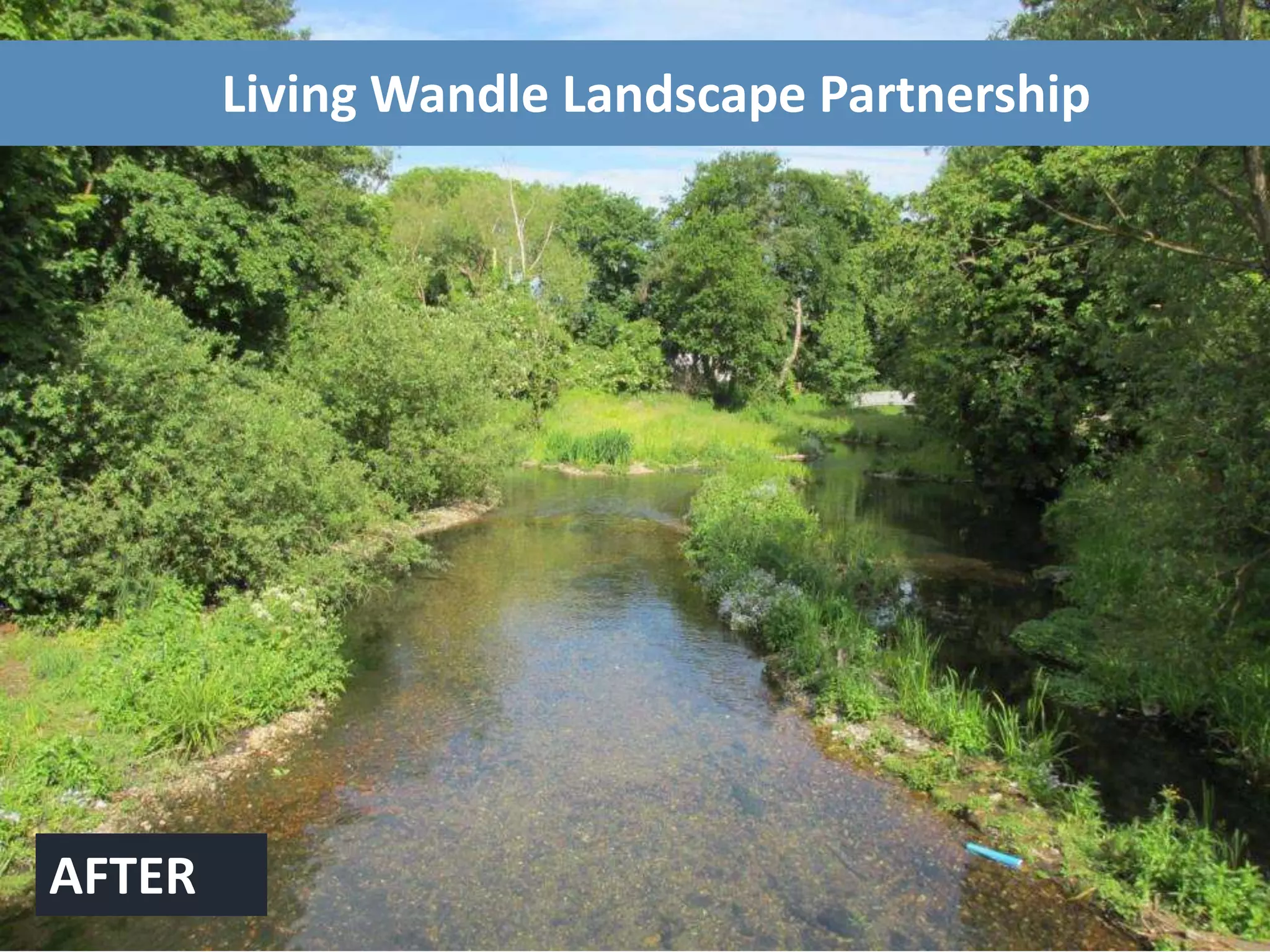 Living Wandle Landscape Partnership
BEFOREAFTER
Living Wandle Landscape Partnership
 