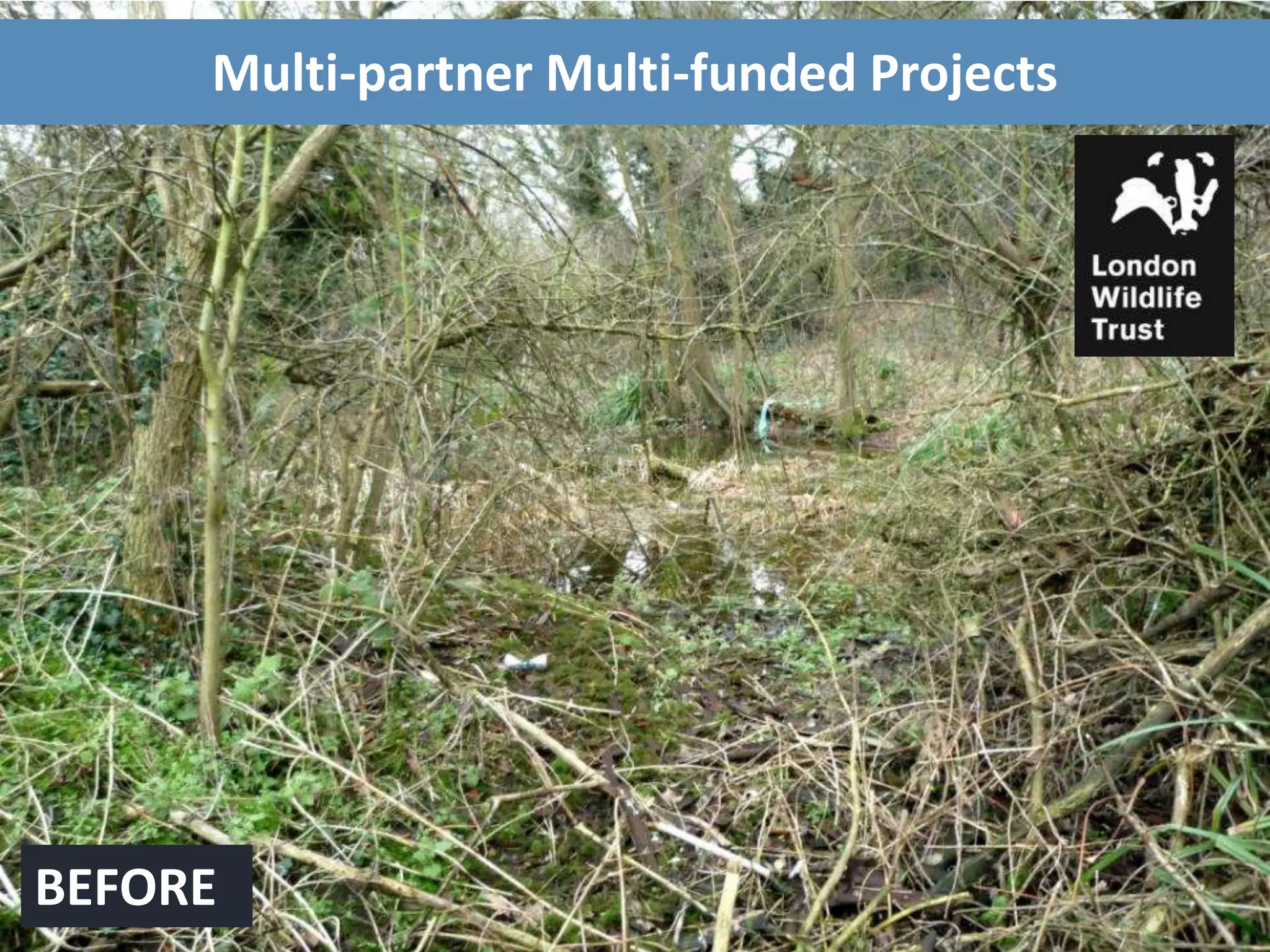 Multi-partner Multi-funded Projects
BEFORE
 